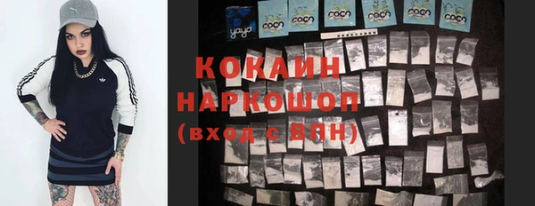 дживик Каменногорск
