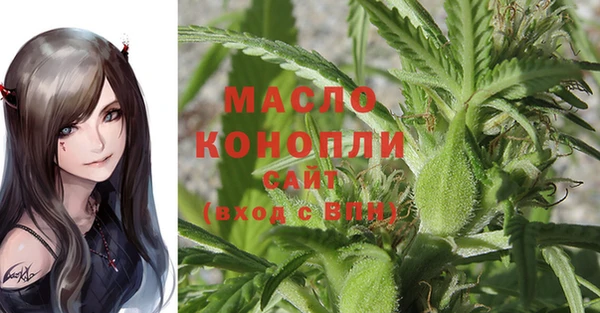 дживик Каменногорск