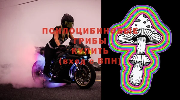дживик Каменногорск