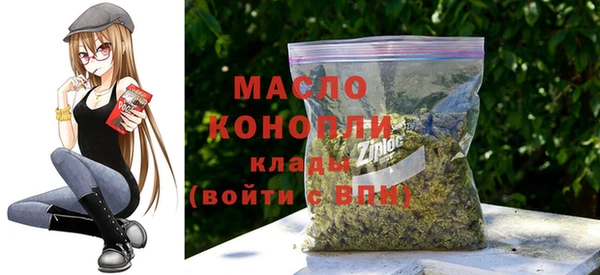 дживик Каменногорск