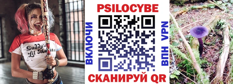 Галлюциногенные грибы Magic Shrooms  Купить закладки  Курганинск 